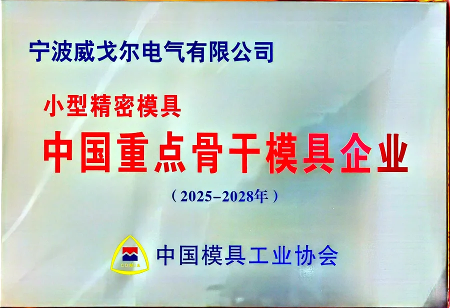 Key Backbone Enterprise for Molds in China