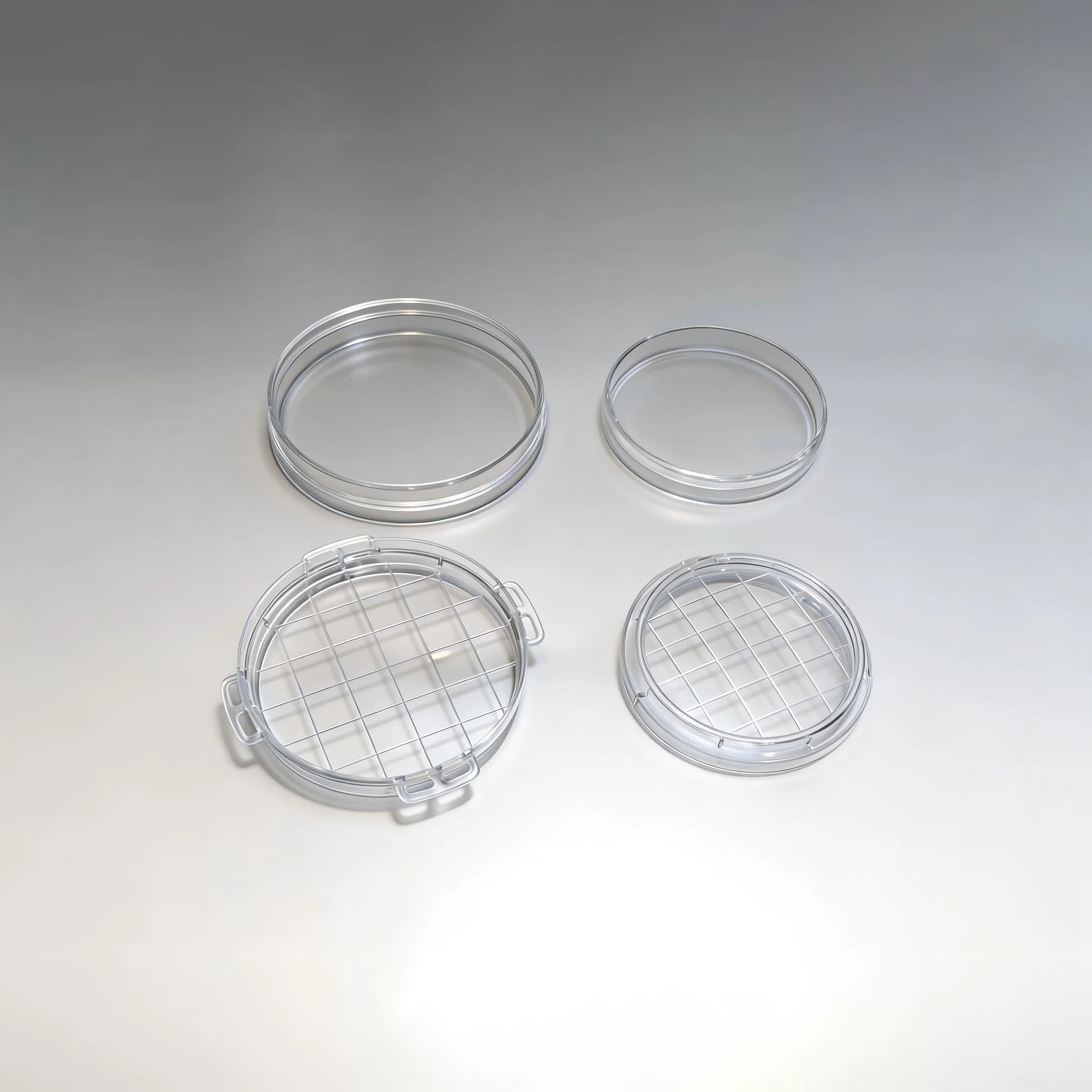 petri dish