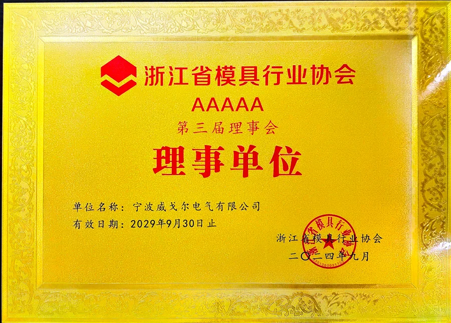Council Member of Zhejiang Mold Industry Association