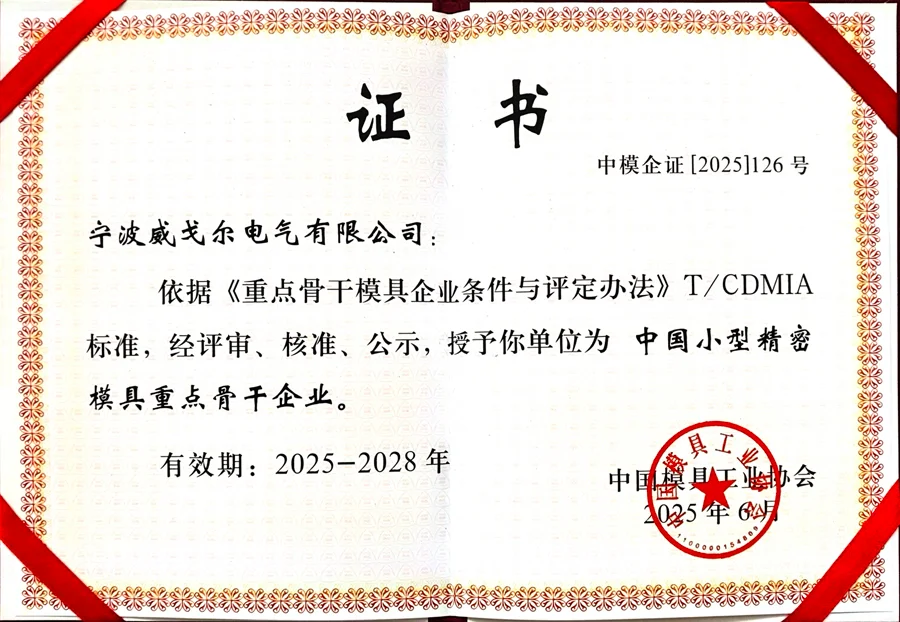 Key Backbone Enterprise for Small Precision Molds in China