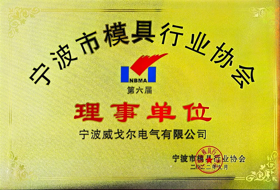 Council Member of Ningbo Mold Industry Association